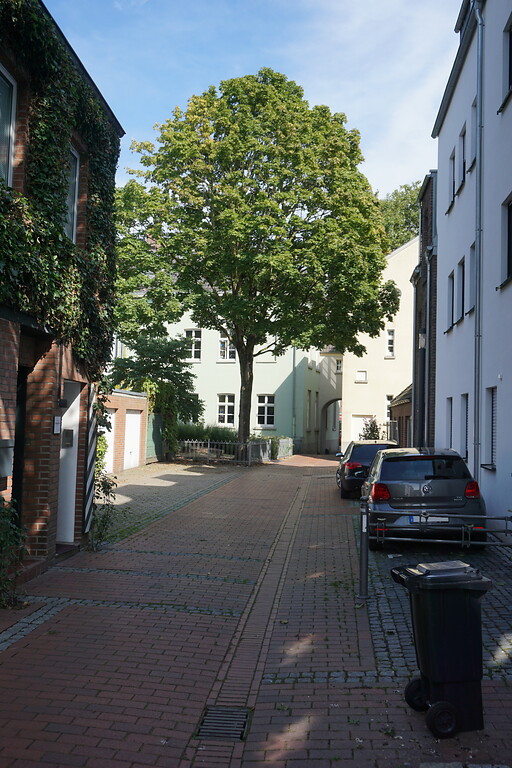 Rees, Jungbluthgasse (2021). Innerstädtische Straße; die ursprüngliche Breite der Straße ist durch die Flucht von Mülltonne, der Parkplätze und der weißen Hausecke im Hintergrund begrenzt