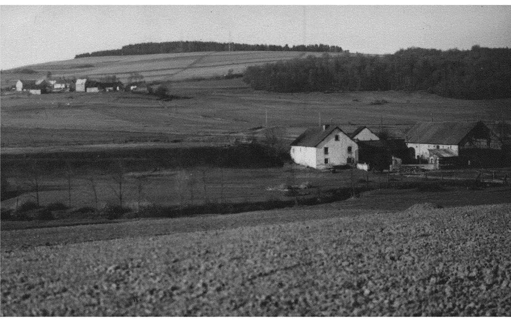 Das historische Bild aus den 1950er Jahren zeigt die Meisenthaler Mühle am Trierbach bei Rothenbach / Meisenthal.