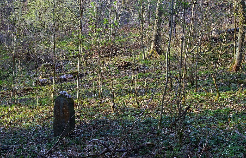 Jüdischer Friedhof im Fürstlich Elzer Wald, Wierschem (2010)