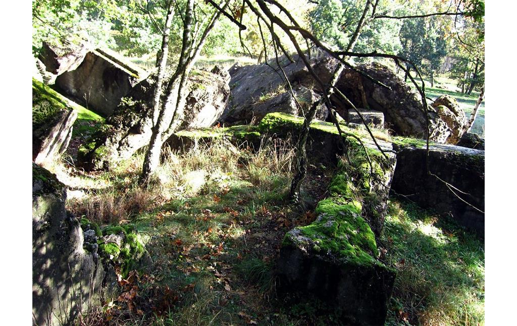 Ruine eines früheren Bunkers, militärisches Relikt in der Wahner Heide (2011).