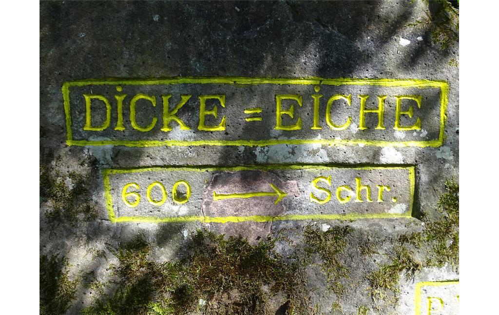 Ritterstein Nr. 118 Dicke Eiche 600 Schr. westlich von Esthal (2019)