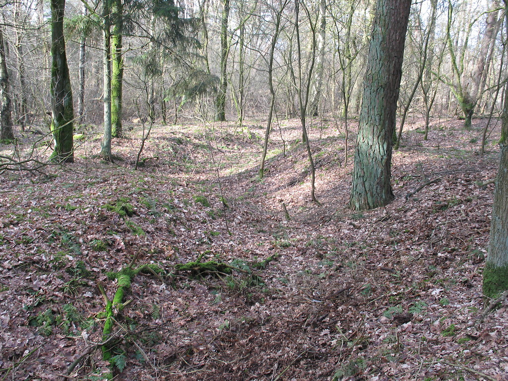 Graben der Landesbefestigungen von 1917 am Eltenberg bei Emmerich (2010)