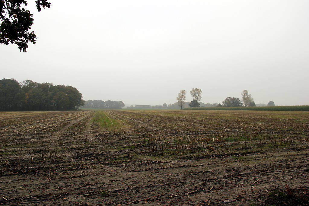 Abgeerntete Ackerfläche in der Nähe des Hebbershofs im Uedemerbruch in der Gemeinde Sonsbeck (2012)