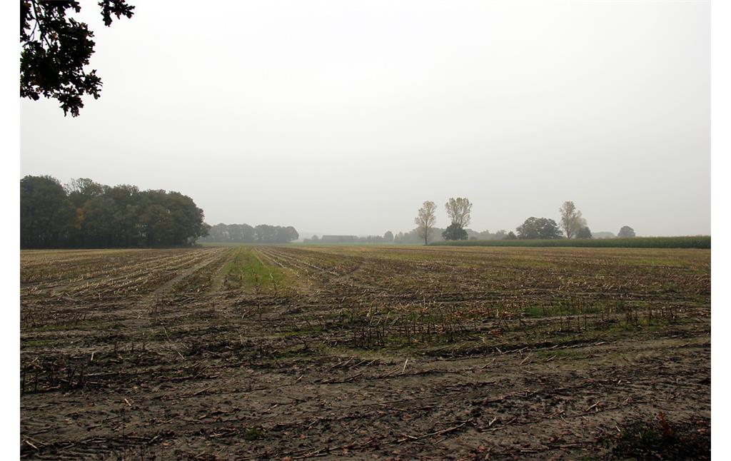 Abgeerntete Ackerfläche in der Nähe des Hebbershofs im Uedemerbruch in der Gemeinde Sonsbeck (2012)