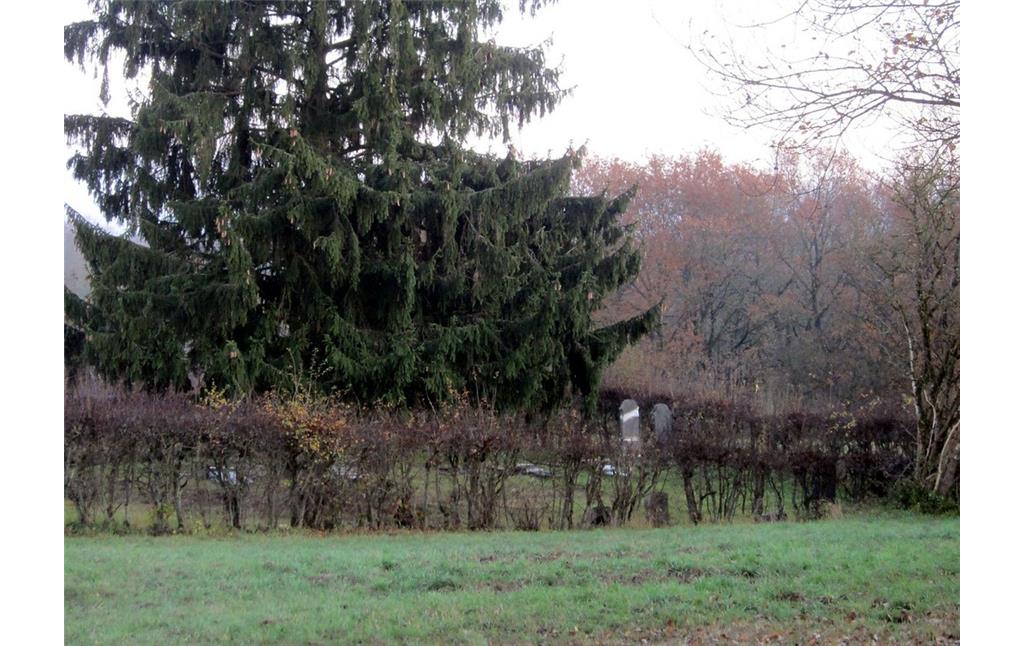 Jüdischer Friedhof Kaisersesch, Ansicht von der Pommerbachstraße aus (2011).