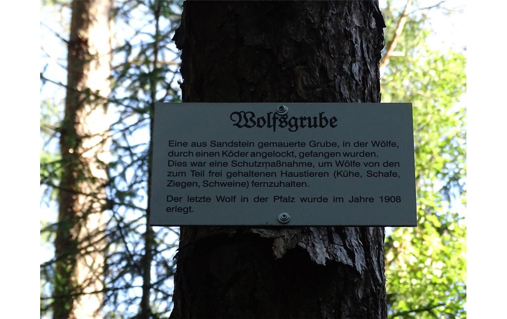 Ritterstein Nr. 48 Wolfsgrub 105 Schr. bei Wilgartswiesen (2020)