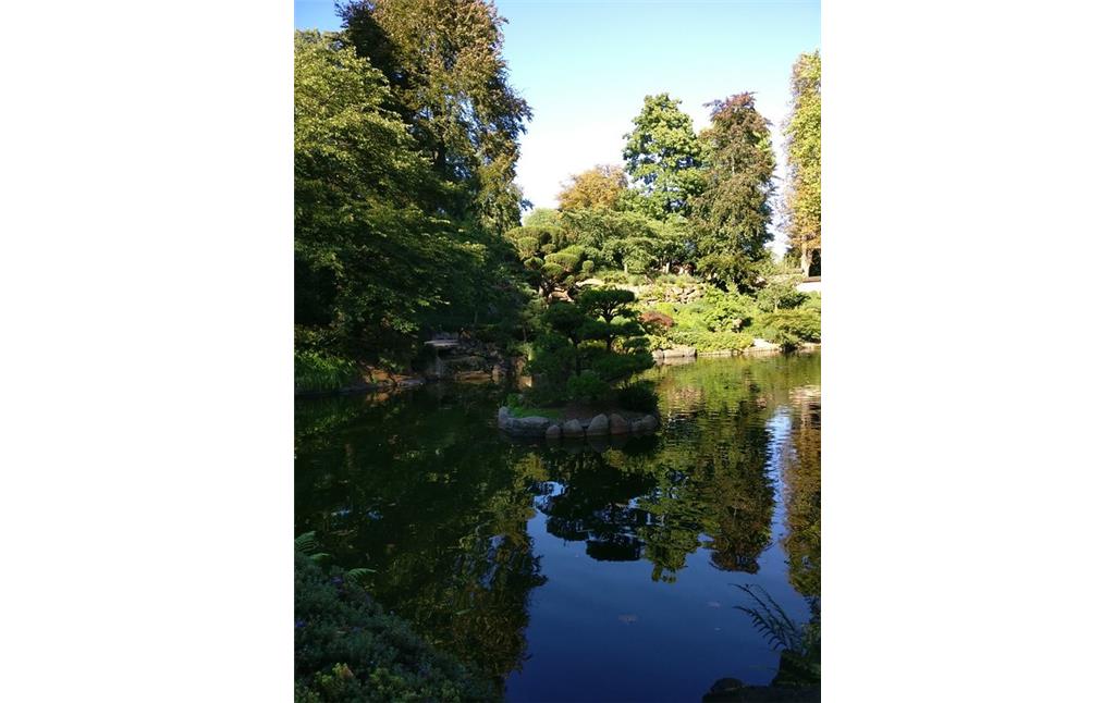 Teich im Japanischen Garten in Kaiserslautern (2017)