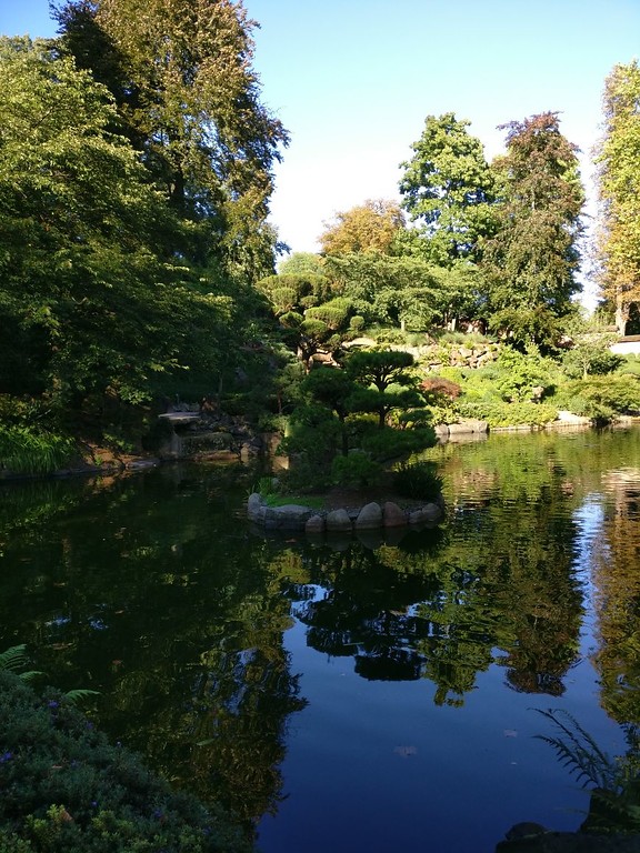 Teich im Japanischen Garten in Kaiserslautern (2017)