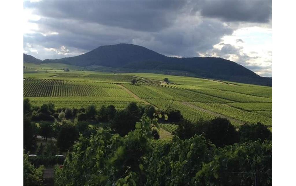 Weinlandschaft Pfalz (2020)