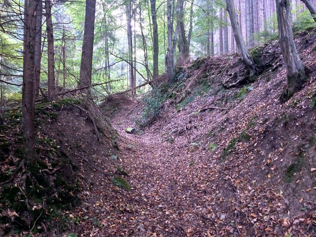 Hohlweg an der Dürscheiderhütte in Kürten (2016)