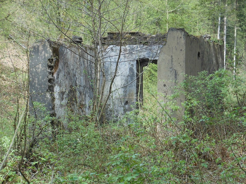 Ruinen der früheren Pulvermühle im Elisenthal bei Windeck (2013).