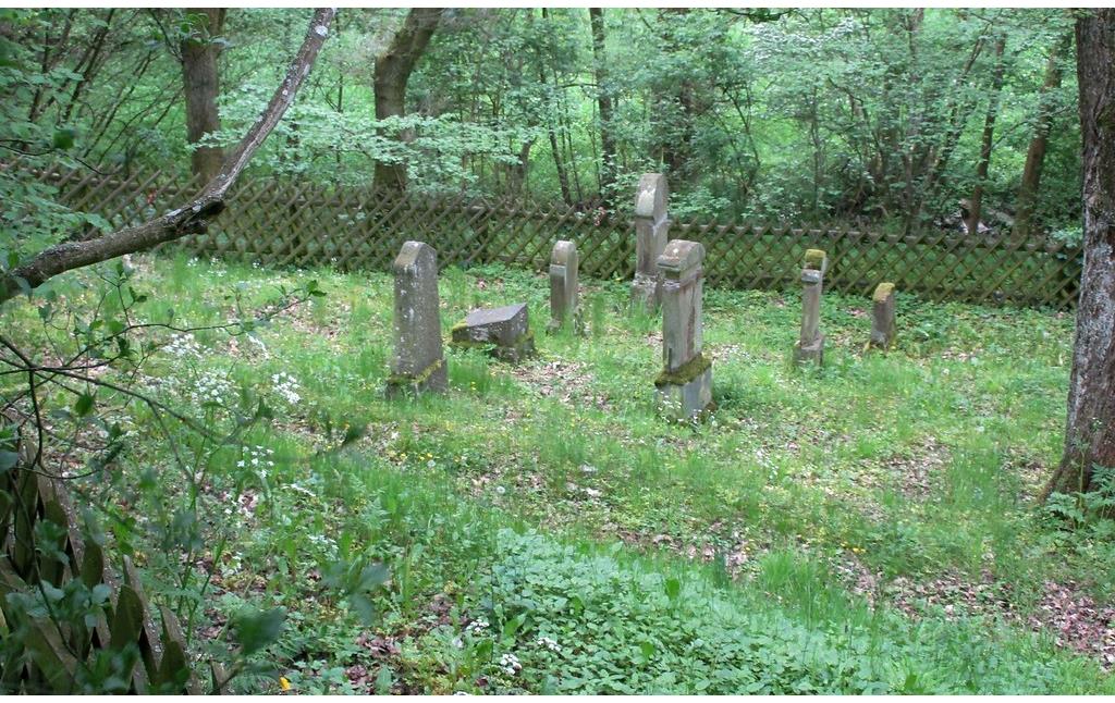 Jüdischer Friedhof Unterm Bingelsberg in Dörrebach (2016), östlicher Teil des Gräberfelds.