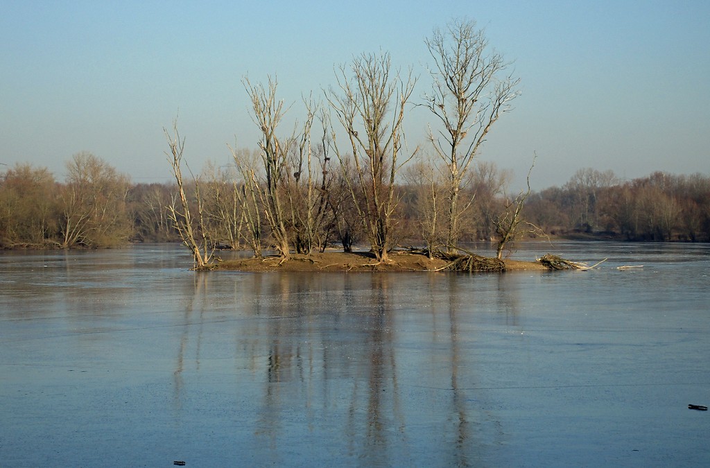 Insel im zugefrorenen Sieglarer See im Naturschutzgebiet "Siegaue und Siegmündung" (2017)