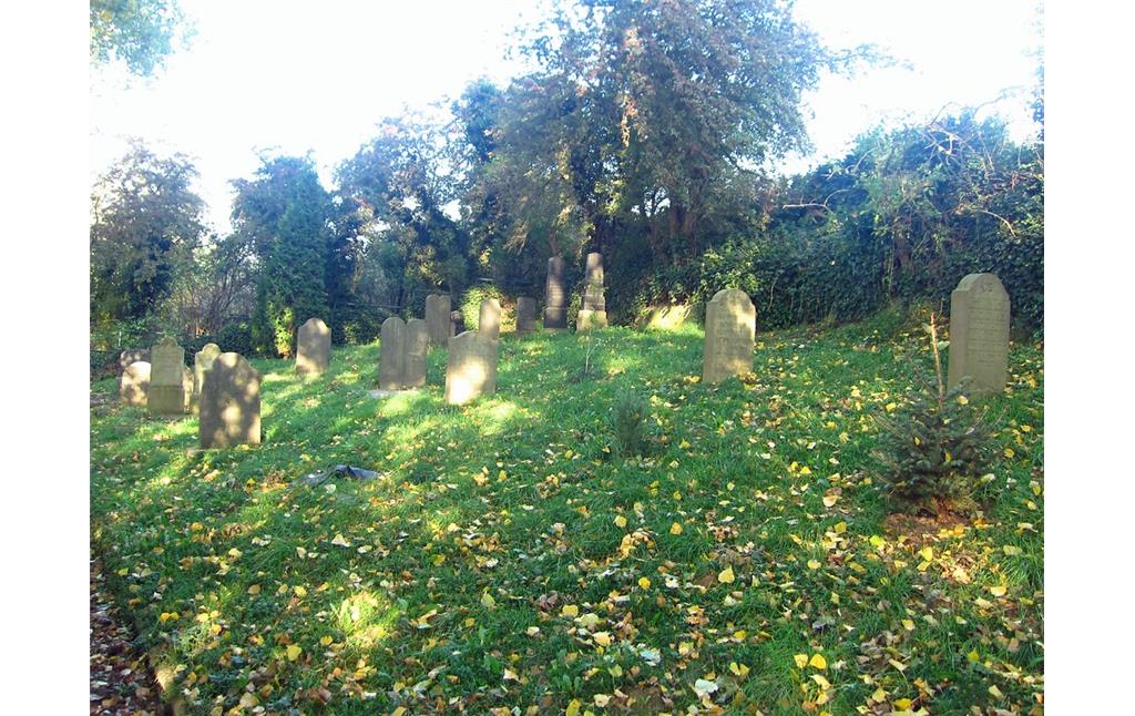 Das Gräberfeld auf dem Jüdischen Friedhof am Stromberg in Jüchen-Hochneukirch (2013)