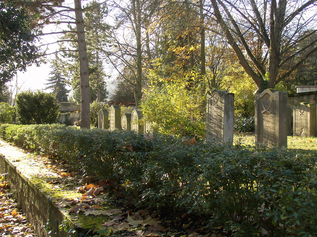 Jüdischer Friedhof Deidesheim (2017)