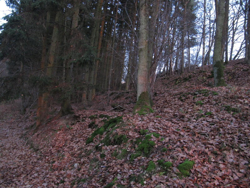 Geländestufen und Graben an der Schönen Aussicht bei Marienfels / Miehlen (2012).