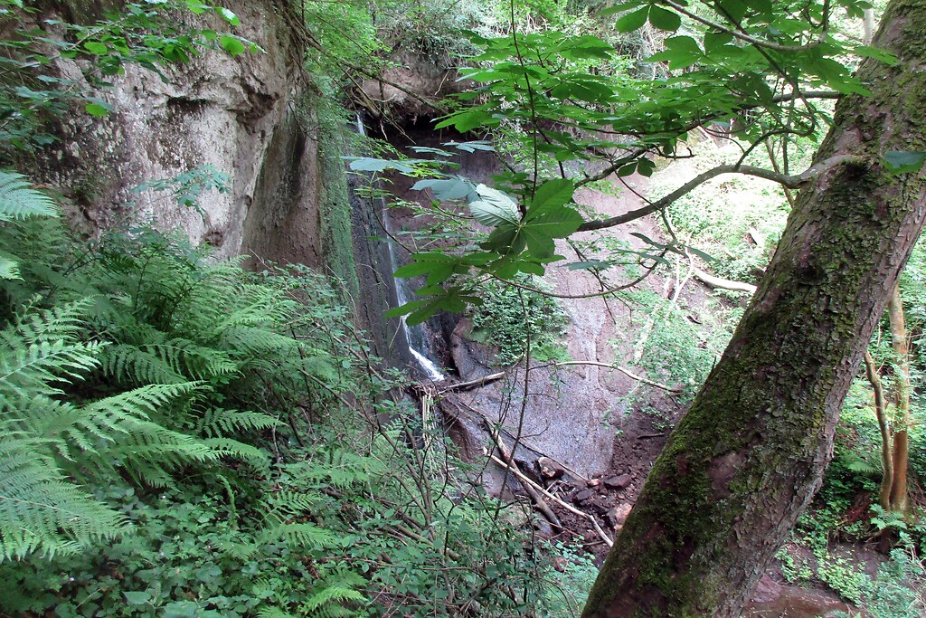 Wasserfall des Tönissteiner Bachs in der Wolfsschlucht auf dem Wanderweg "Höhlen- und Schluchtensteig" bei Andernach-Kell (2020).
