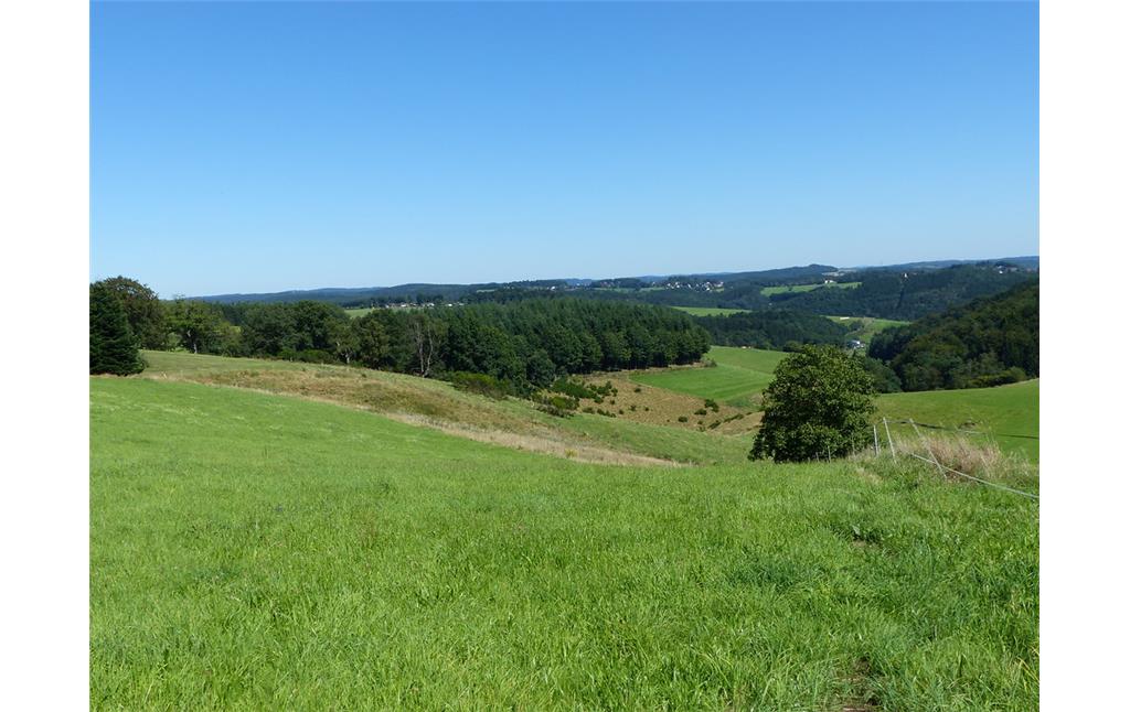 Blick von Süd-Westen auf das Naturschutzgebiet Hangmulde Strasserhof bei Morsbach (2016)
