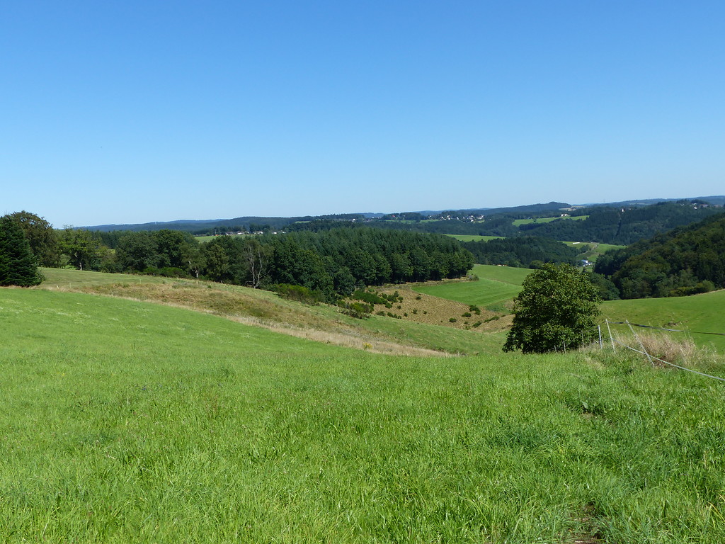 Blick von Süd-Westen auf das Naturschutzgebiet Hangmulde Strasserhof bei Morsbach (2016)