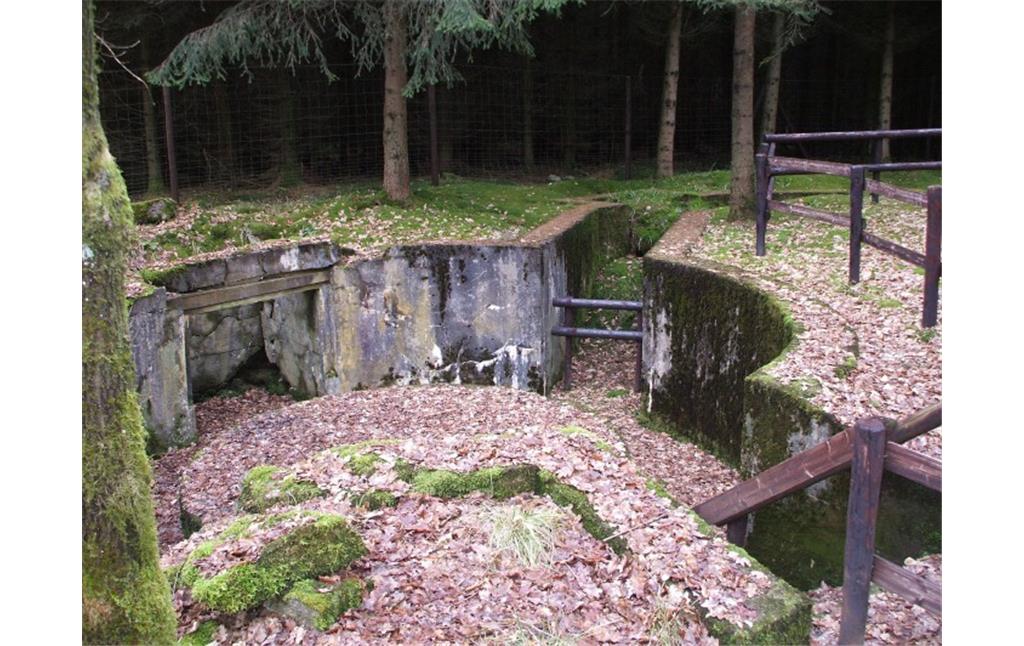Reste einer Flakstellung und eines darunter liegenden Wasserbunkers in Dahlem-Schmidtheim (2020).