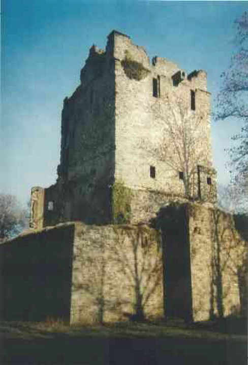Burg Altendorf (2009)