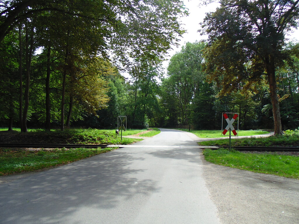 Der einstige Motorsport-Rennkurs im Lindenthaler Stadtwald ist heute wieder Teil der idyllischen Spazierwege (2020). Im Bild zu sehen sind Gleise der in Richtung Braunsfeld verlaufenden Güterstrecke, die auch damals schon die Rennstrecke kreuzten.