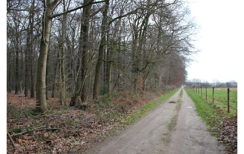 Äußerer Grenzweg mit Grenzwall des Tannenbusch nördlich von Goch (2013).