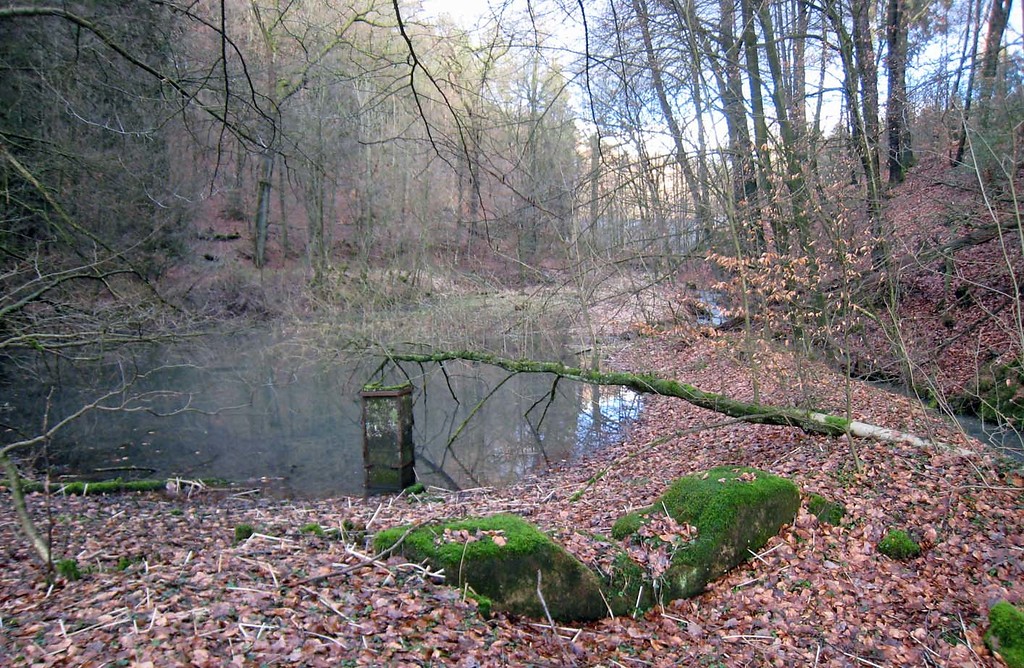 Der Kadettenweiher im Bergisch Gladbach-Bensberger Milchborntal (2013)