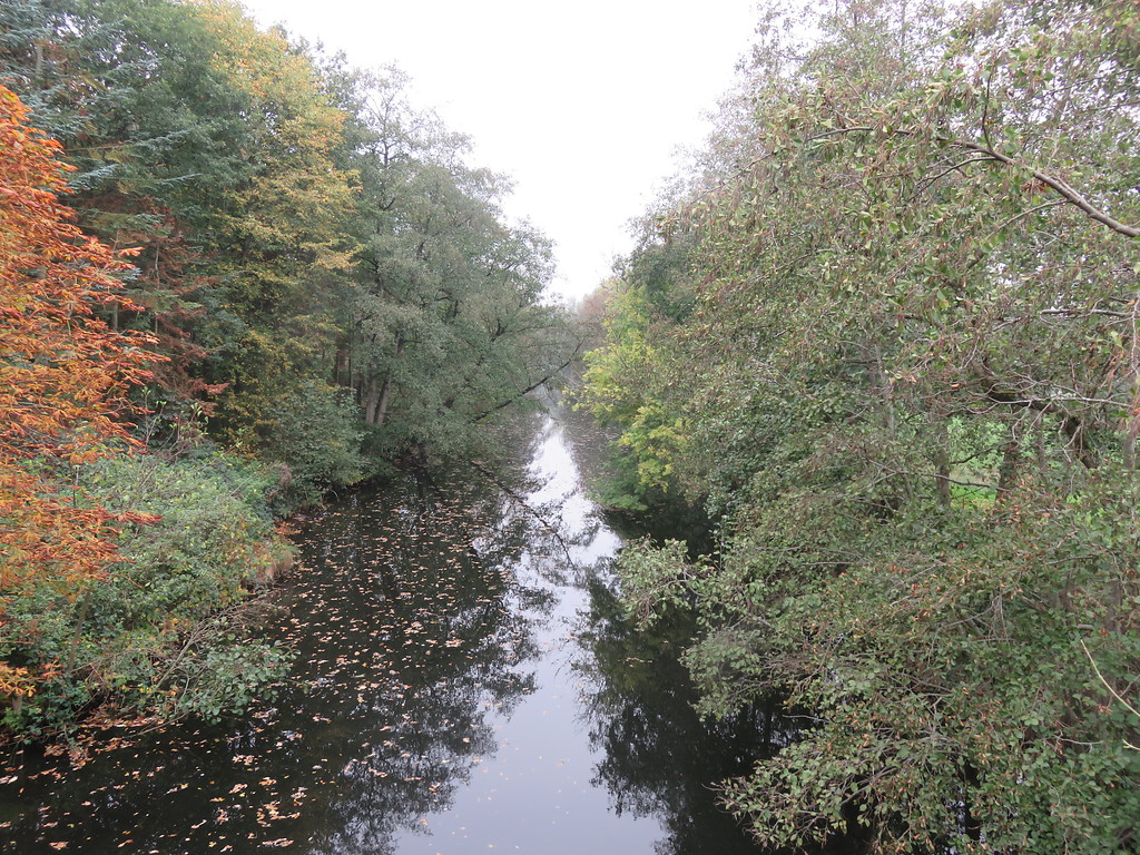 Breitenburger Kanal (2018)