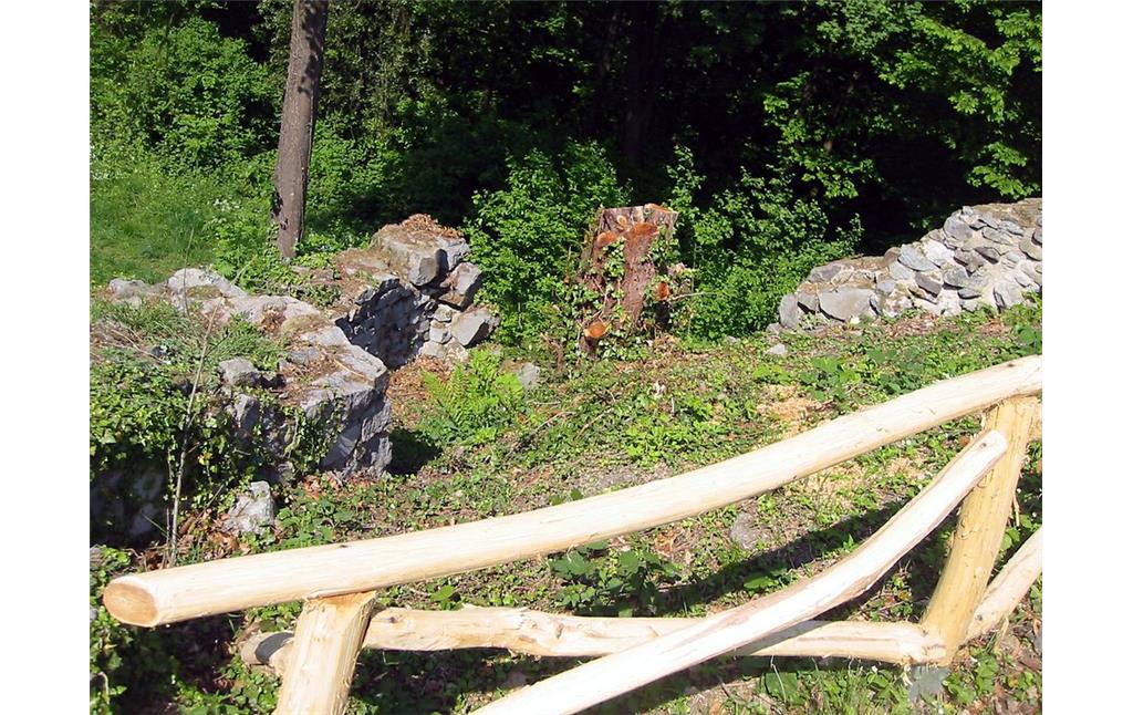 Sicherungsmaßnahmen an der Burgruine Rosenau (2011)