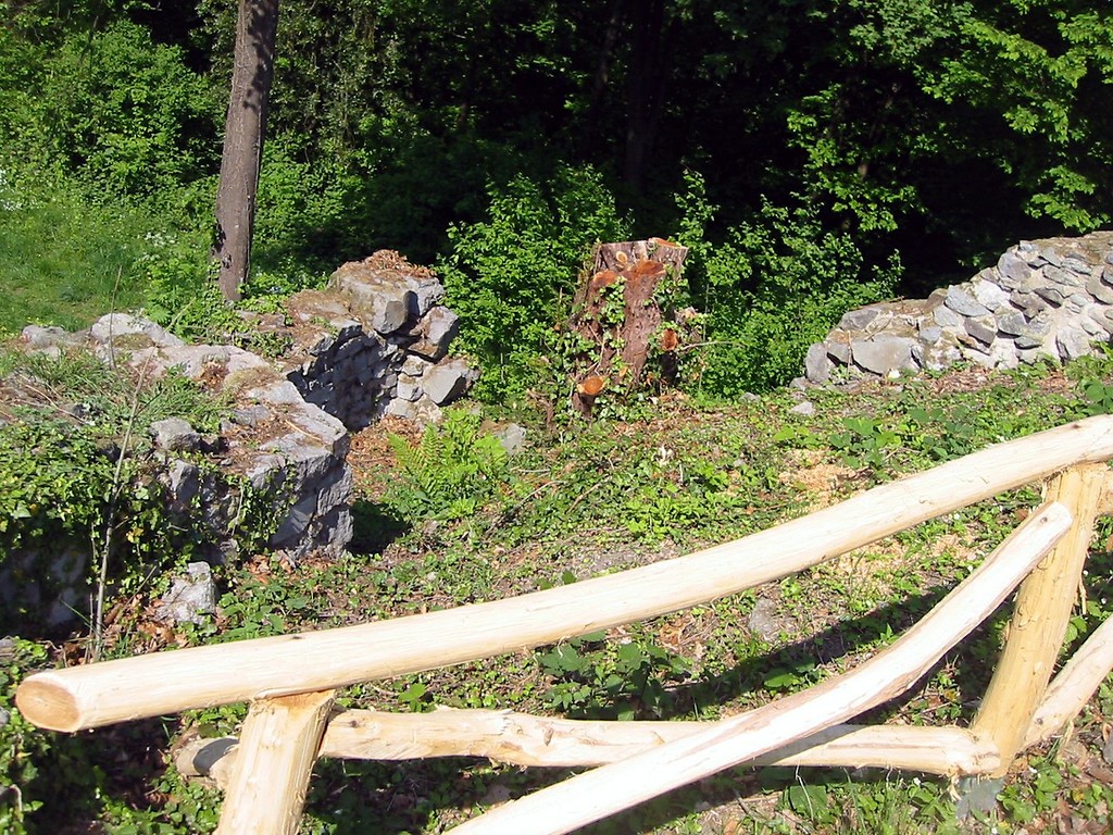 Sicherungsmaßnahmen an der Burgruine Rosenau (2011)