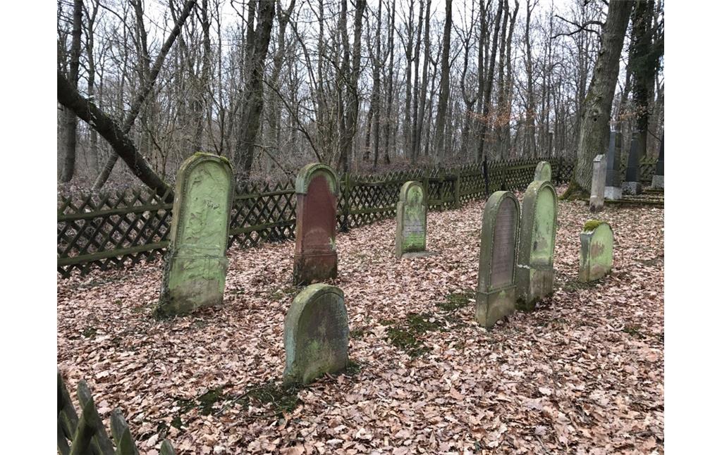 Grabsteine auf dem jüdischen Friedhof bei Waldlaubersheim (2017)