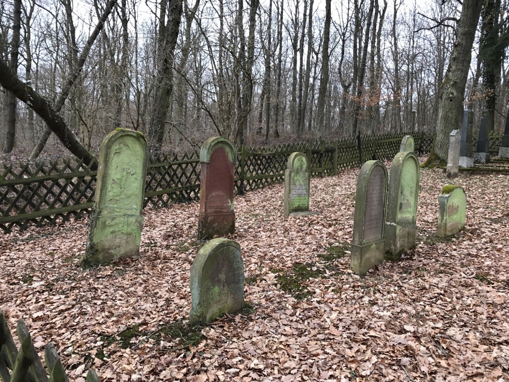 Grabsteine auf dem jüdischen Friedhof bei Waldlaubersheim (2017)