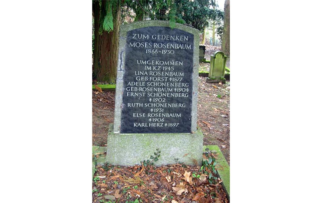 Grabstein auf dem jüdischen Friedhof in Hennef-Geistingen (2013)
