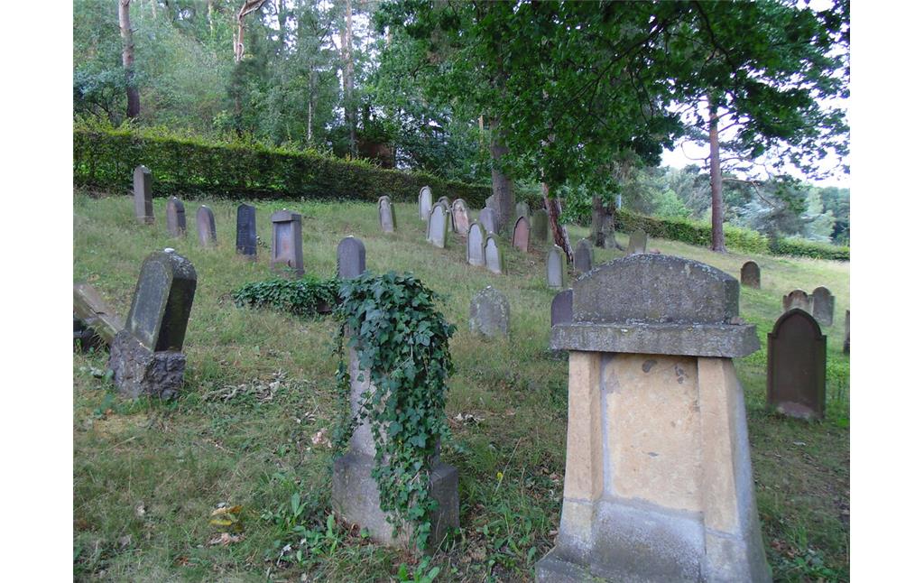Blick über einen Teil des Gräberfelds des jüdischen Friedhofs Kommern (2020)