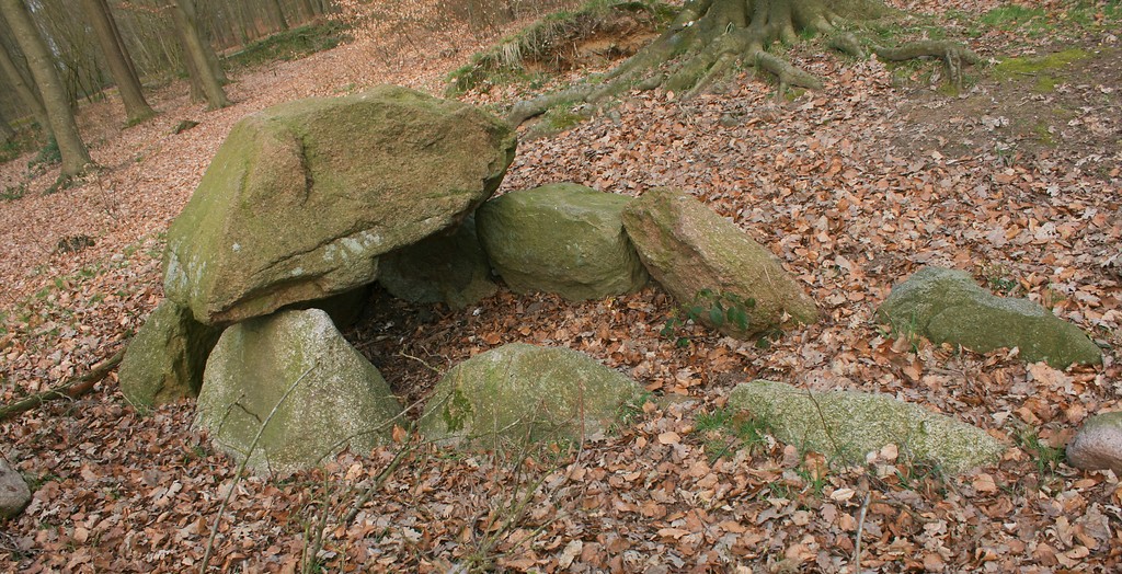 Großsteingrab im Kurpark Albersdorf (2019)