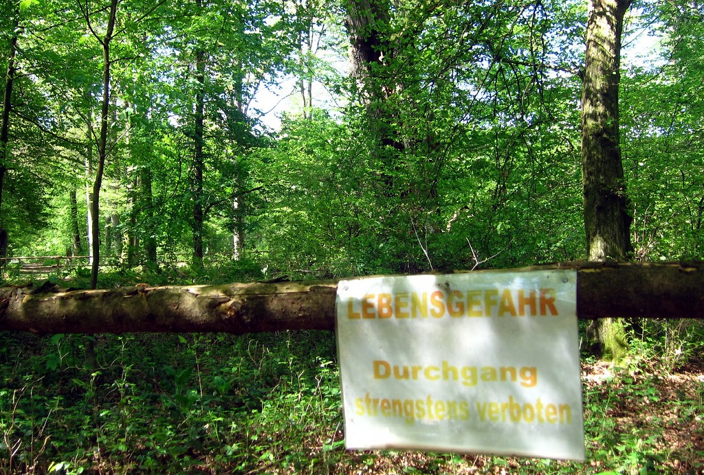 Warnschild "Lebensgefahr" am schützenden Holzgitter rund um die Boxhohn-Eiche in der Wahner Heide (2014)