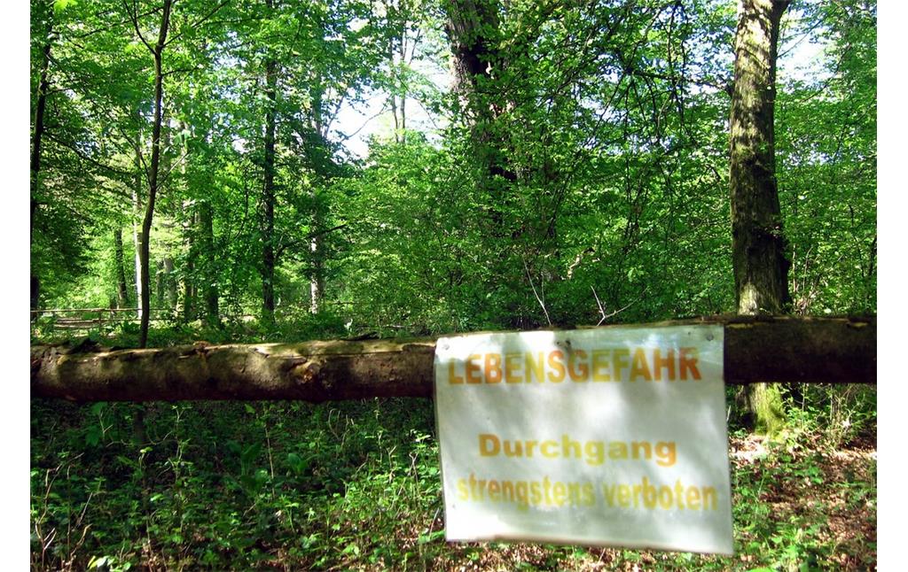 Warnschild "Lebensgefahr" am schützenden Holzgitter rund um die Boxhohn-Eiche in der Wahner Heide (2014)