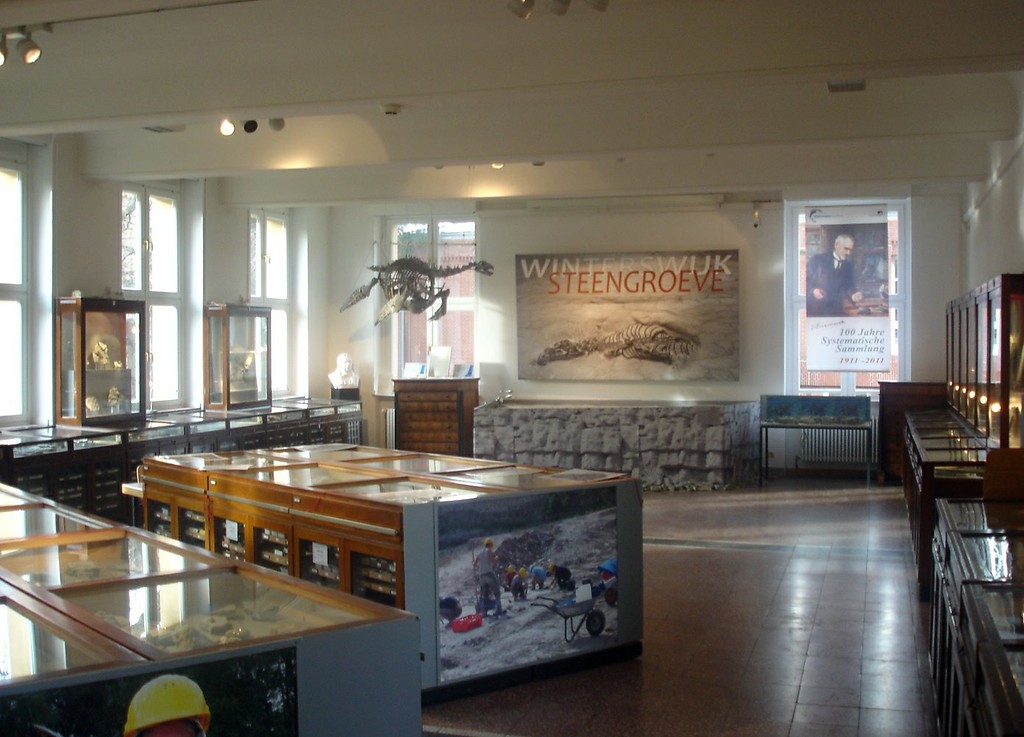 Goldfuß Museum im Geologischen Institut (2012)