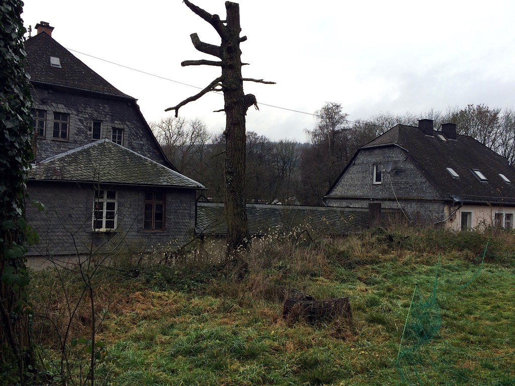 Eisenpavillon auf dem Gelände der ehemaligen Eisenhütte Abentheuer (2015), Wiese vor dem Pavillon