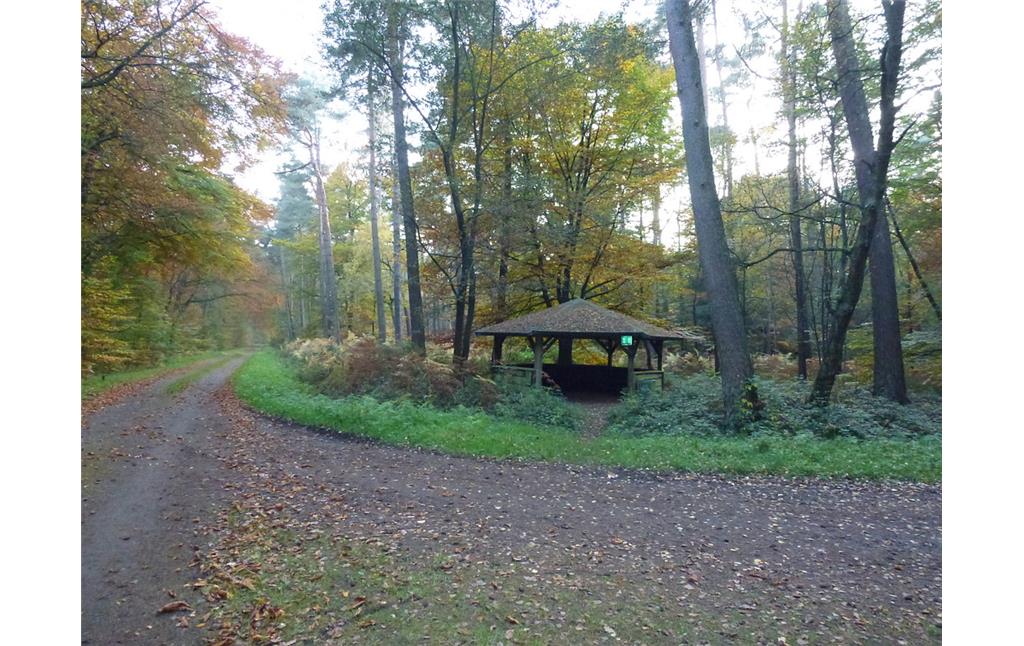 Wegekreuzung beim Jakobsbrunnen im Dämmerwald mit einer Schutzhütte am Wegesrand (2012)