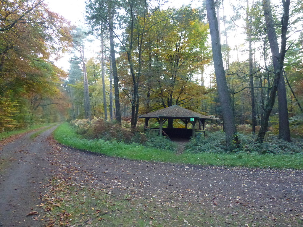 Wegekreuzung beim Jakobsbrunnen im Dämmerwald mit einer Schutzhütte am Wegesrand (2012)