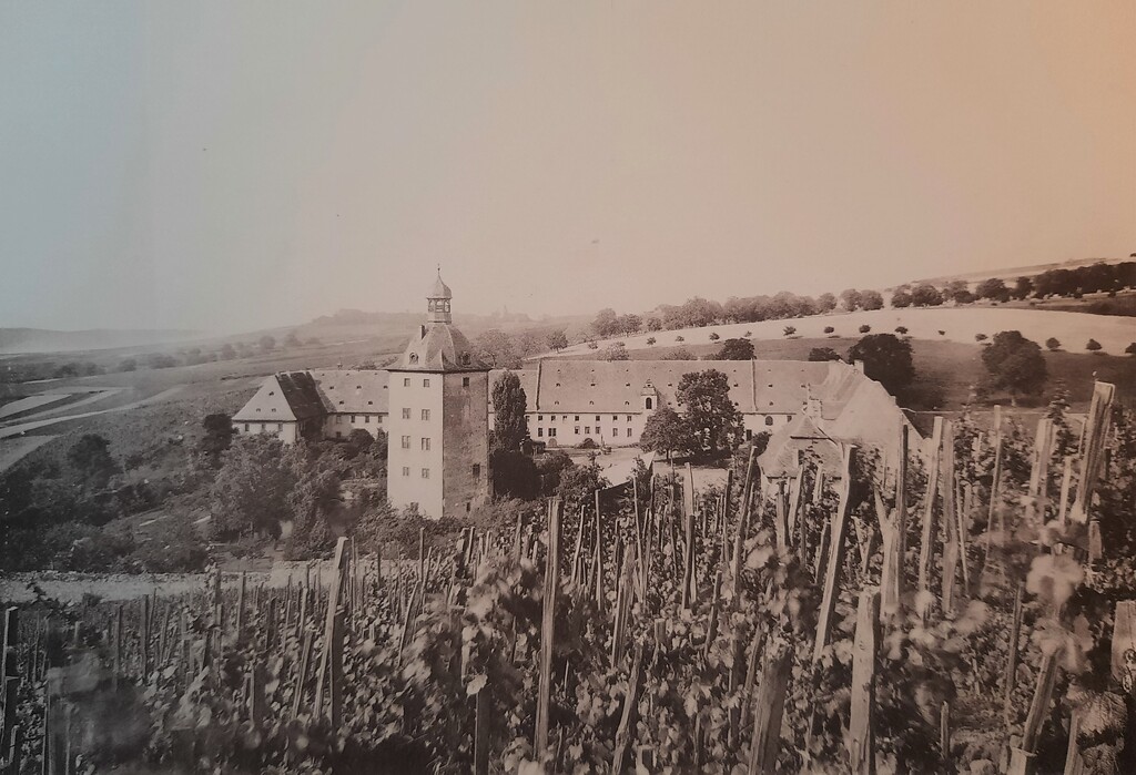 Blick auf Schloss Vollrads bei Oestrich-Winkel (Ende des 19. Jahrhunderts)