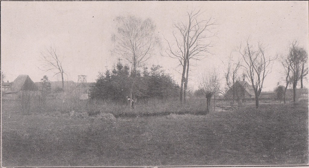 Turmhügel von Groß Parin - Foto von Westen 1917