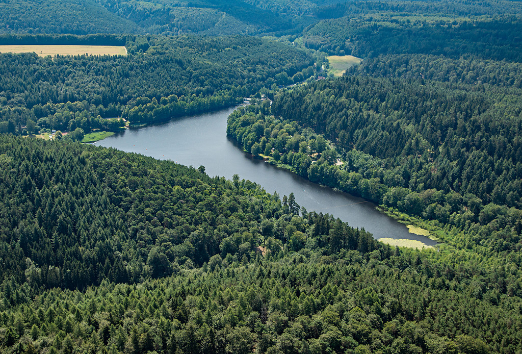 Luftaufnahme vom Gelterswoog und seiner Umgebung mit Blick in Richtung Südosten (2018).