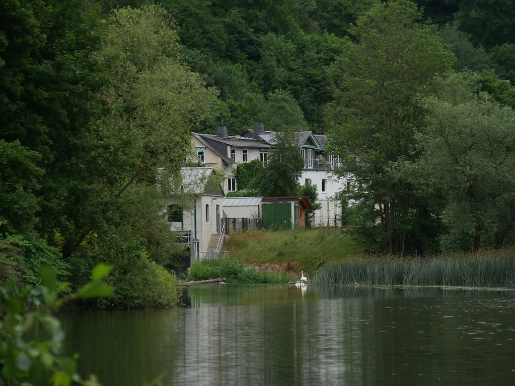Kirchhofsmühle in Weilburg (links im Bild); entlang des Schilfstreifens im Fluss verläuft das Wehr der Mühle (2017)