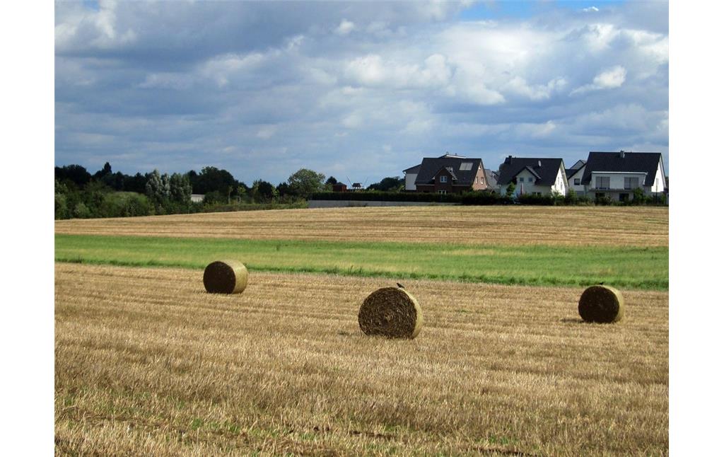 Blick von Westen auf das Dorf Bedburdyck, Ortsteil der Stadt Jüchen (2014).