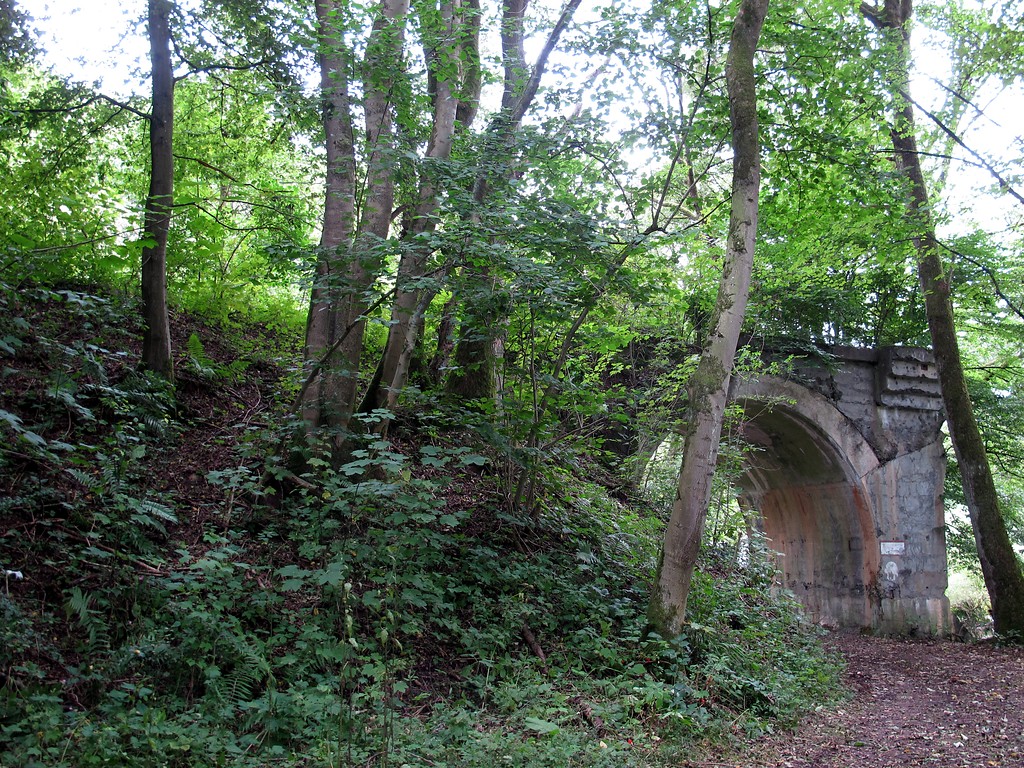Überrest einer alten Bahnbrücke bei Peterslahr in der Nähe des Bahntunnels (2014).