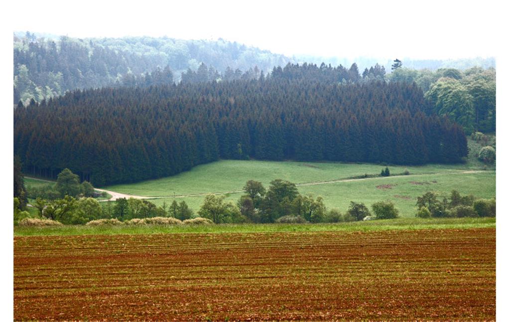 Die Nordeifel bei Nettersheim: Der Wechsel von Laub- und Nadelwäldern sowie Wiesen in den Bachtälern ist typisch für die Landschaft (2006).