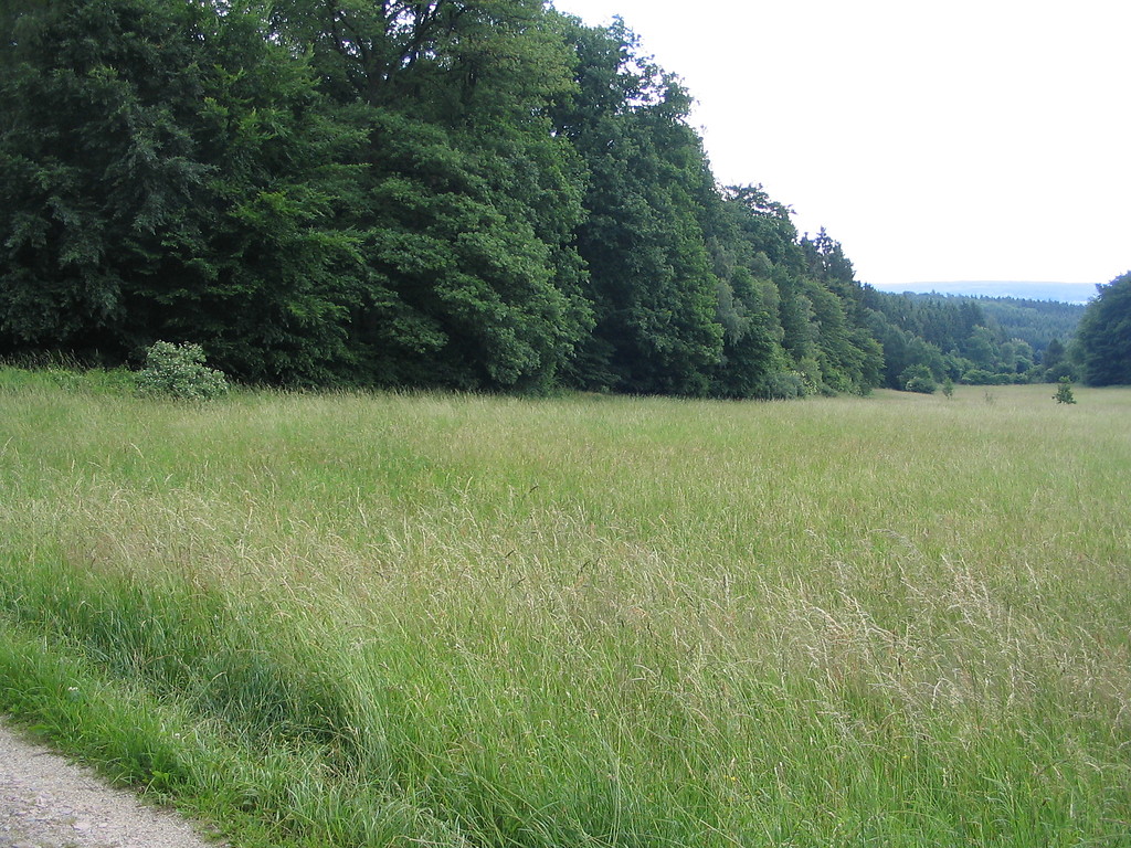 Standort des ehemaligen Badegebäudes im Lagerdorf des Kastells Zugmantel bei Taunusstein-Orlen im Rheingau-Taunus-Kreis (2008)